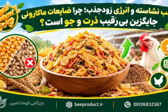 خرید ضایعات ماکارونی؛ بررسی کیفیت، کاربرد در خوراک دام و نکات مهم انتخاب